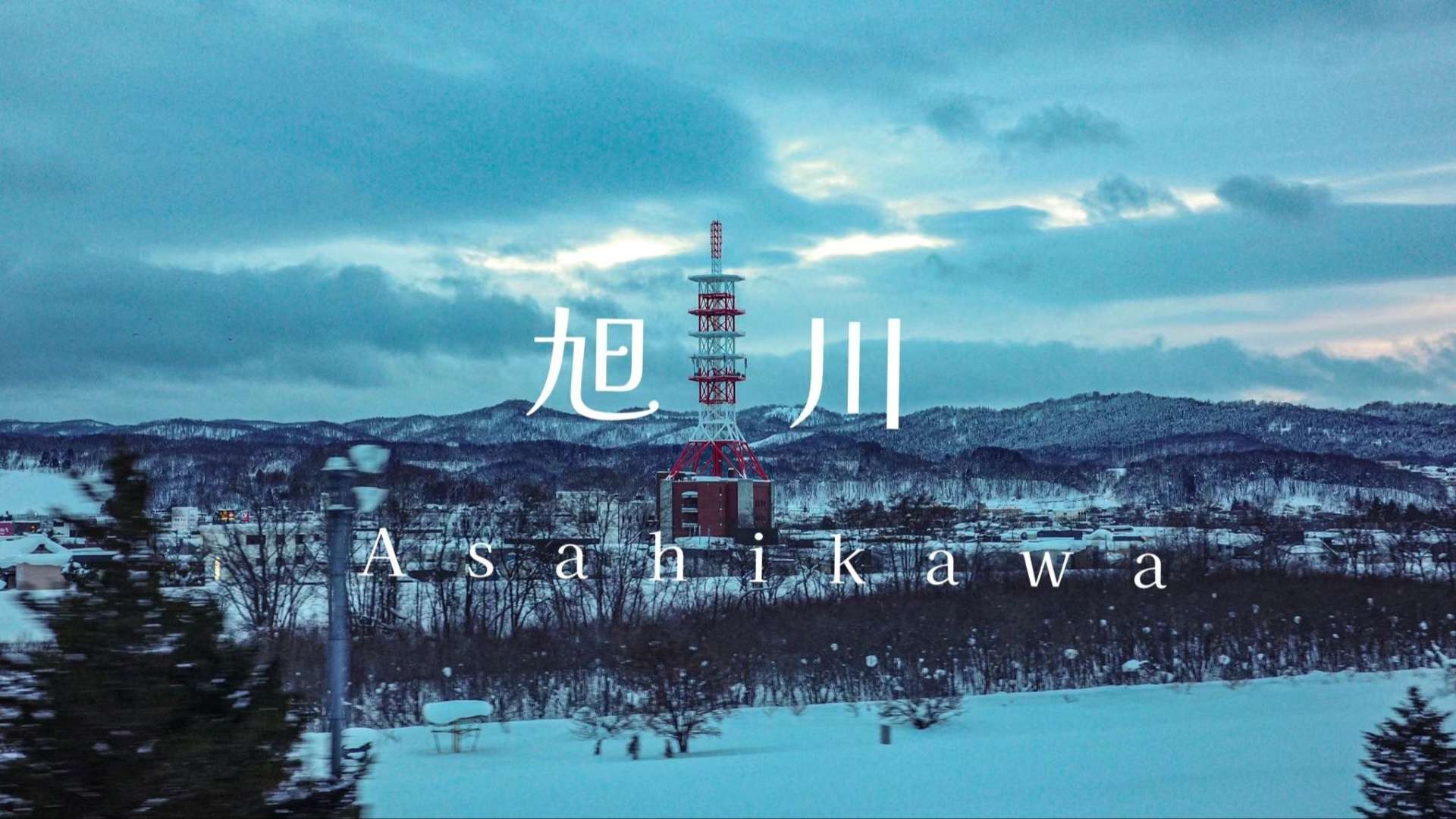 日本旅行VLOG|北海道札幌·旭川·东京8天自由行记录分享|富良野滑雪||论旅游