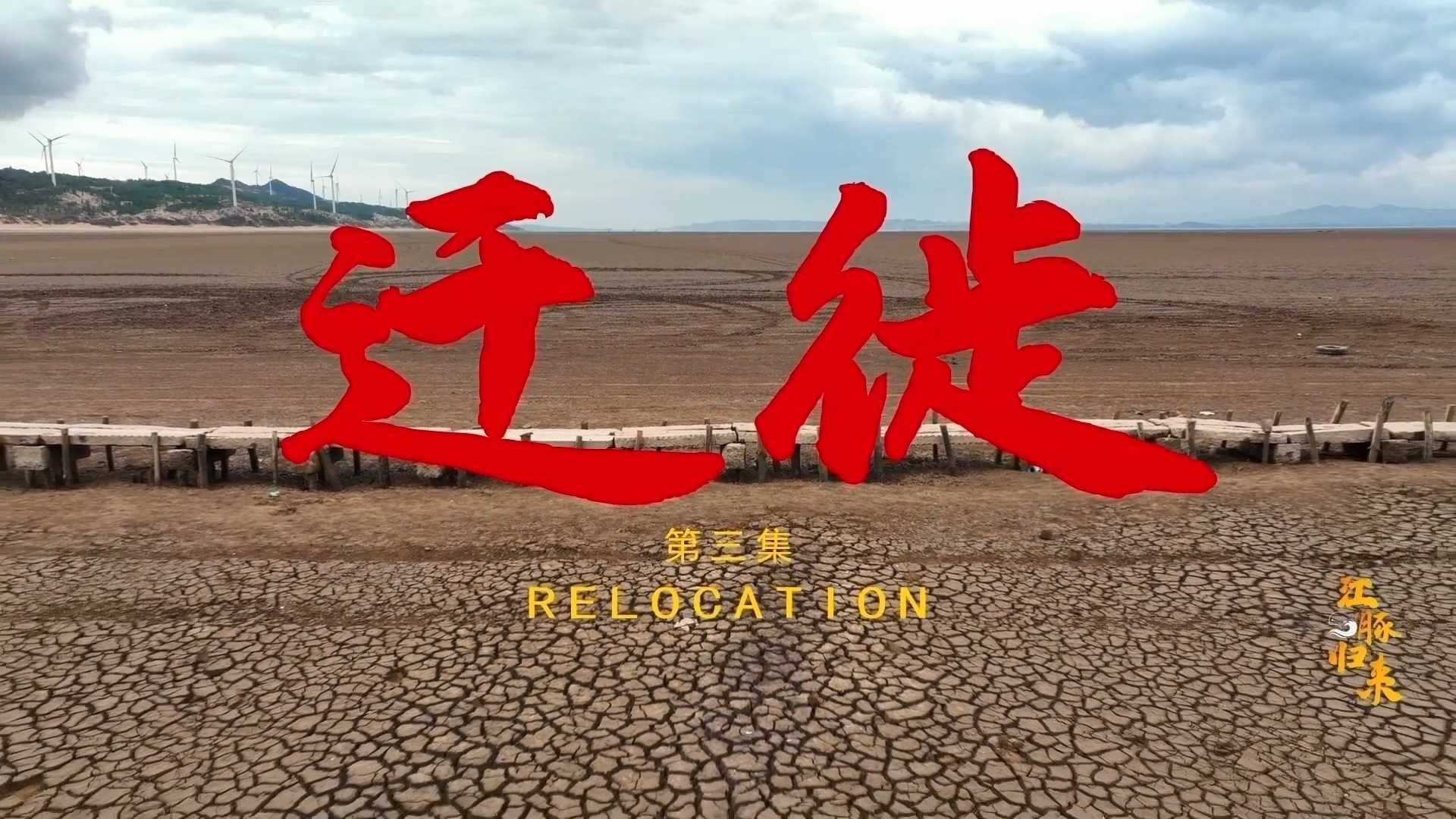 《江豚归来第三集 迁徙》-电视纪录片