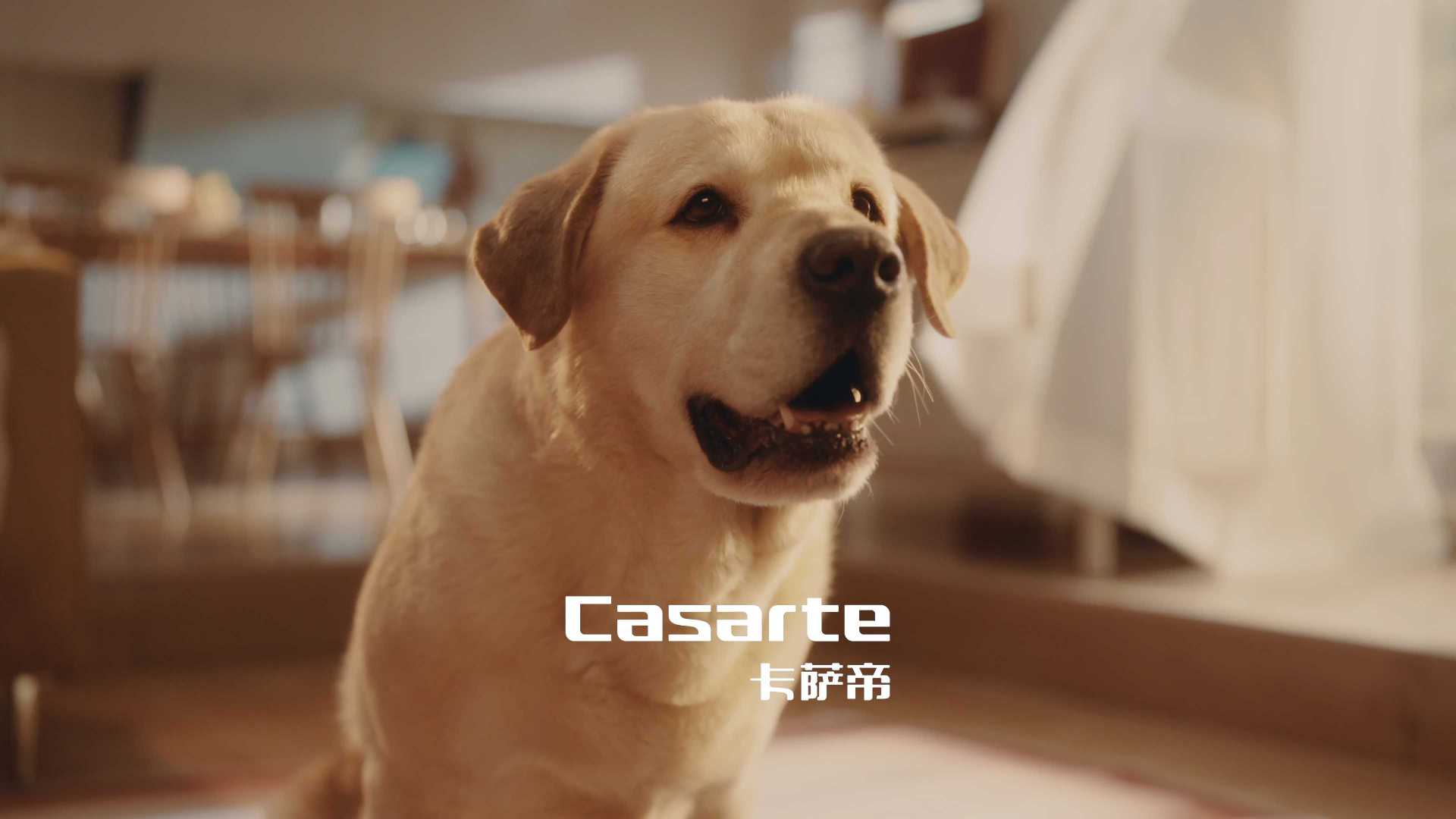 卡萨帝 Casarte 艺术电视 M60「 真的 」可以｜狗狗篇