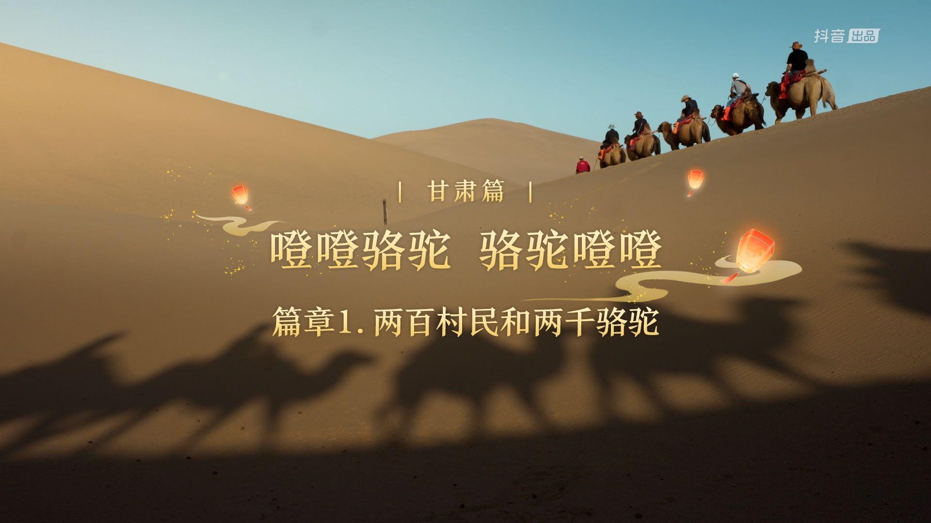 抖音华彩追月夜甘肃篇 | 两百村民和两千骆驼