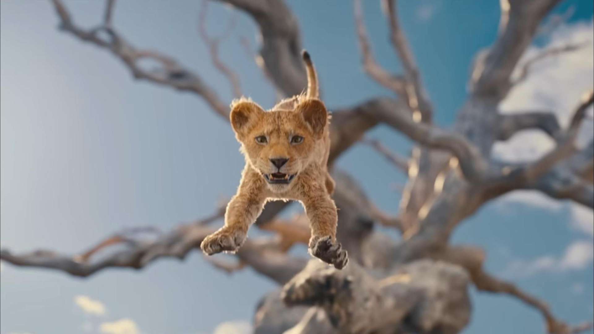 狮子王：木法沙 | 迪士尼电影最新预告片！