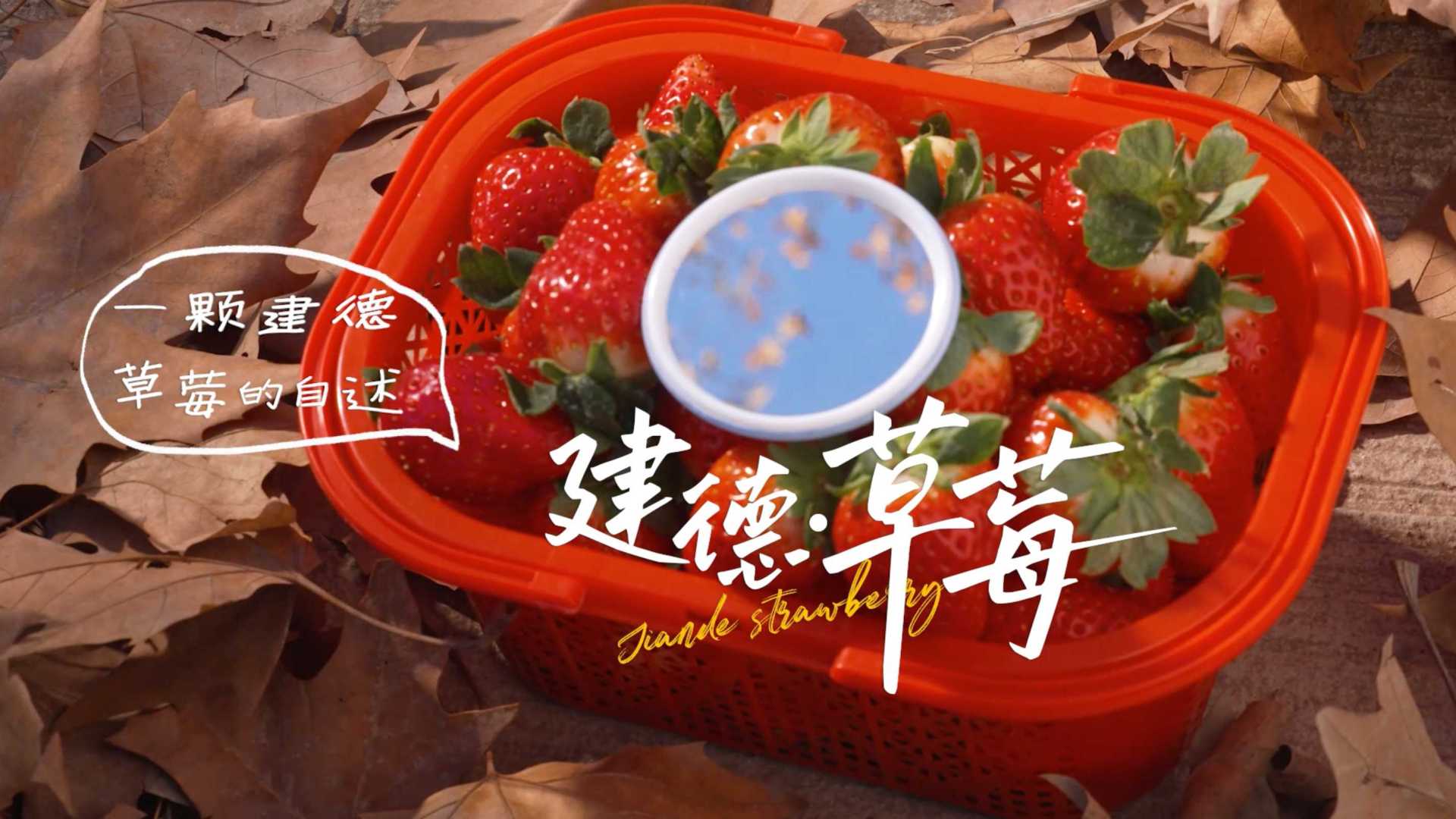 建德市草莓节主题影片《建德·草莓》一颗草莓的自述