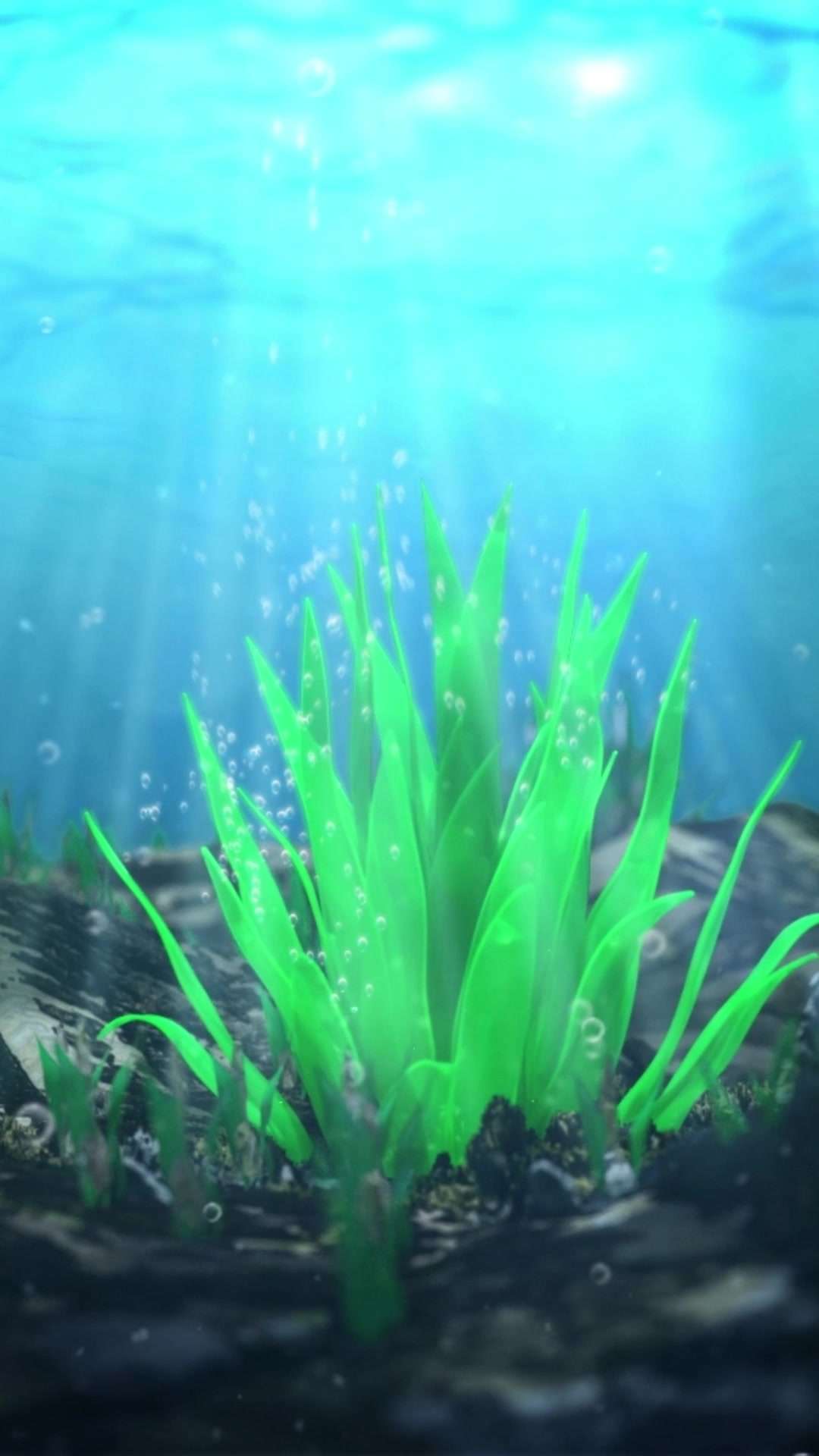 江中DHA藻油三维动画