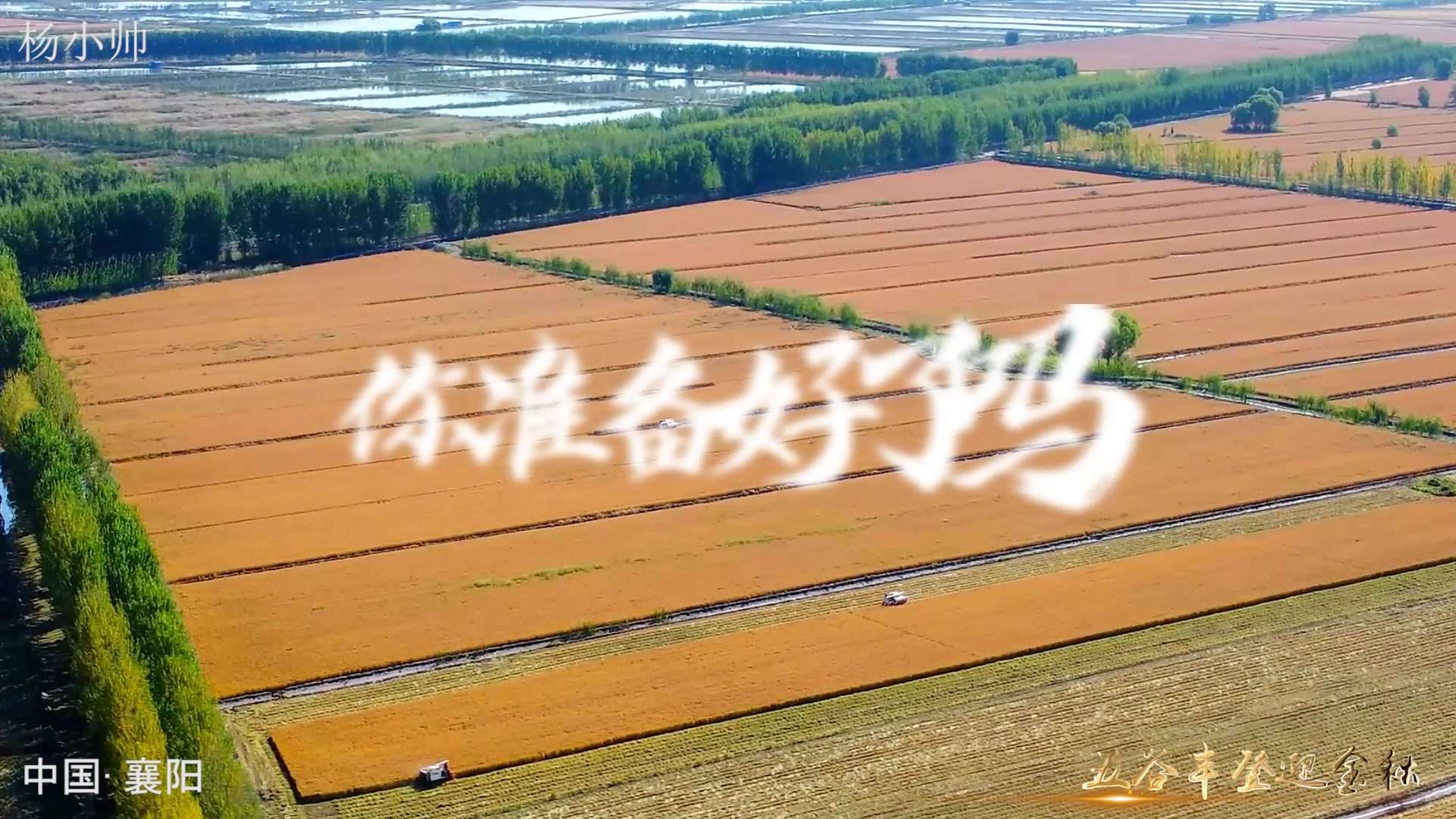 海尔五谷丰登农业主题企业宣传片