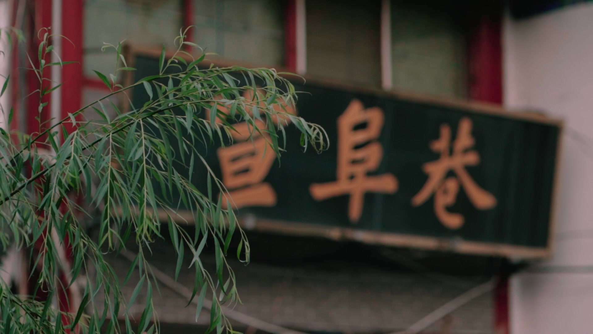 济宁 | 大麦文化