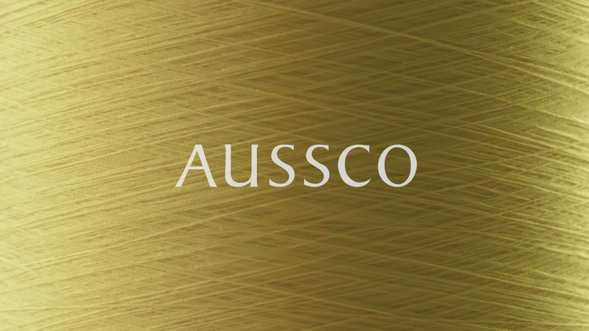 AUSSCO工厂宣传片--质检篇