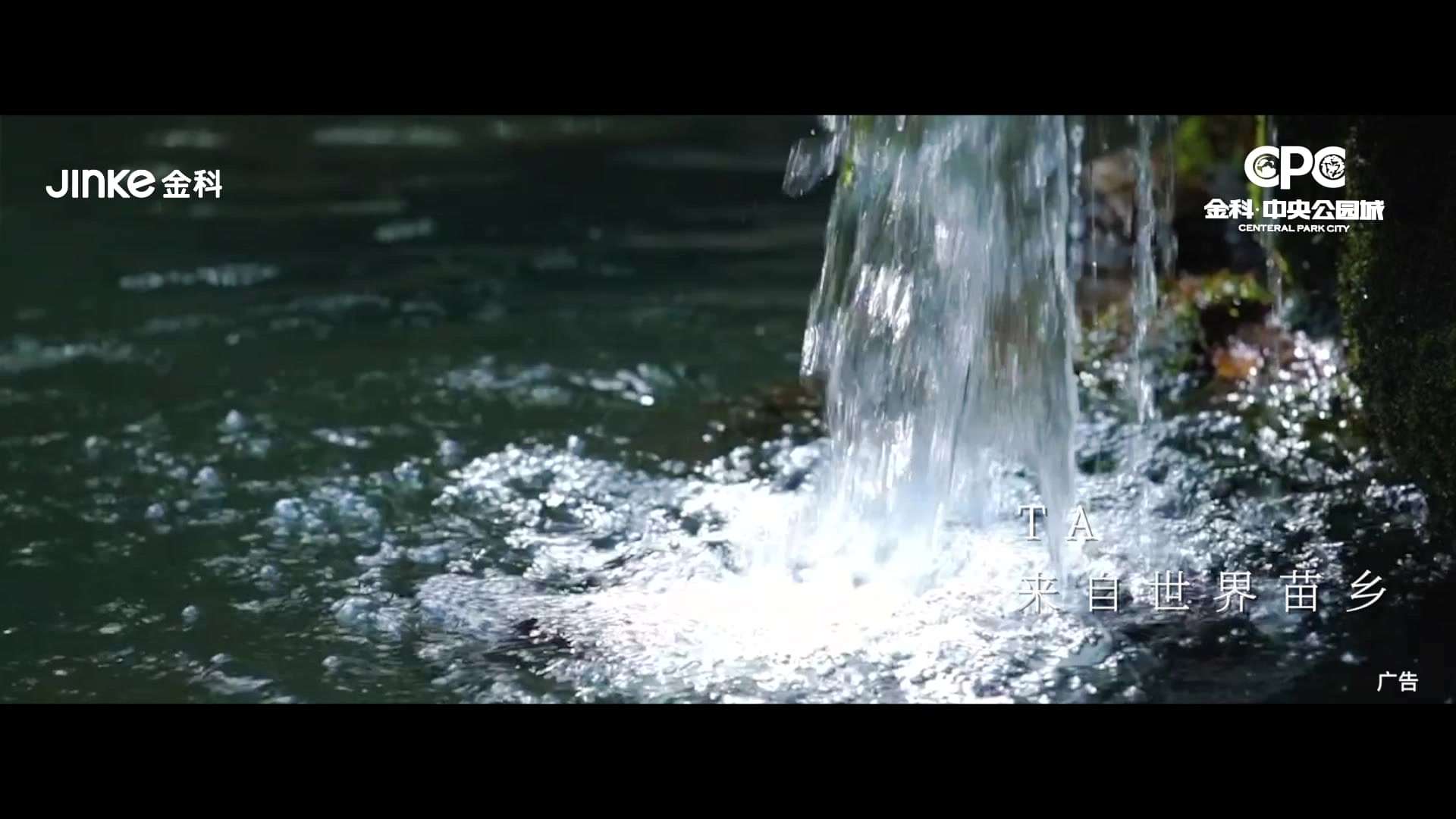 金科中央公园-太极水活动视频