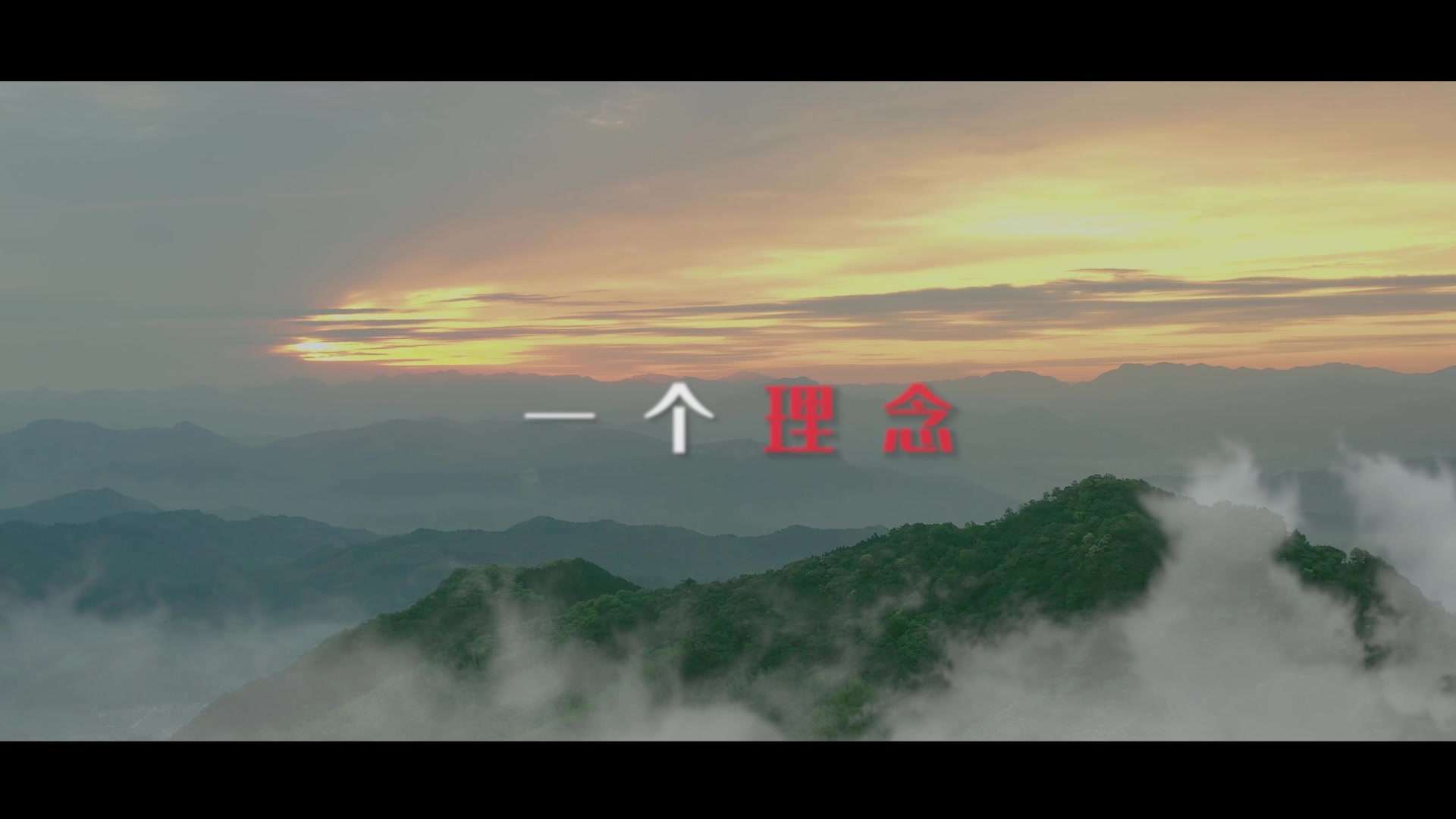 建瓯森林公安——预告片