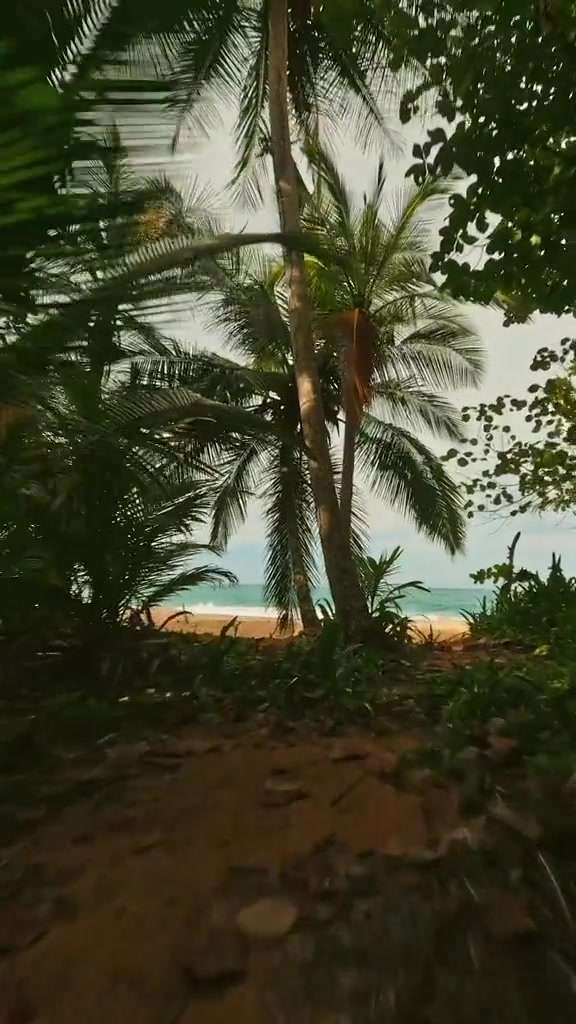 FPV拍摄！欢迎来到巴拿马海滩！
