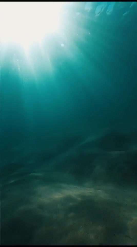 水下摄影：当丁达尔照到海底，浪漫油然而生