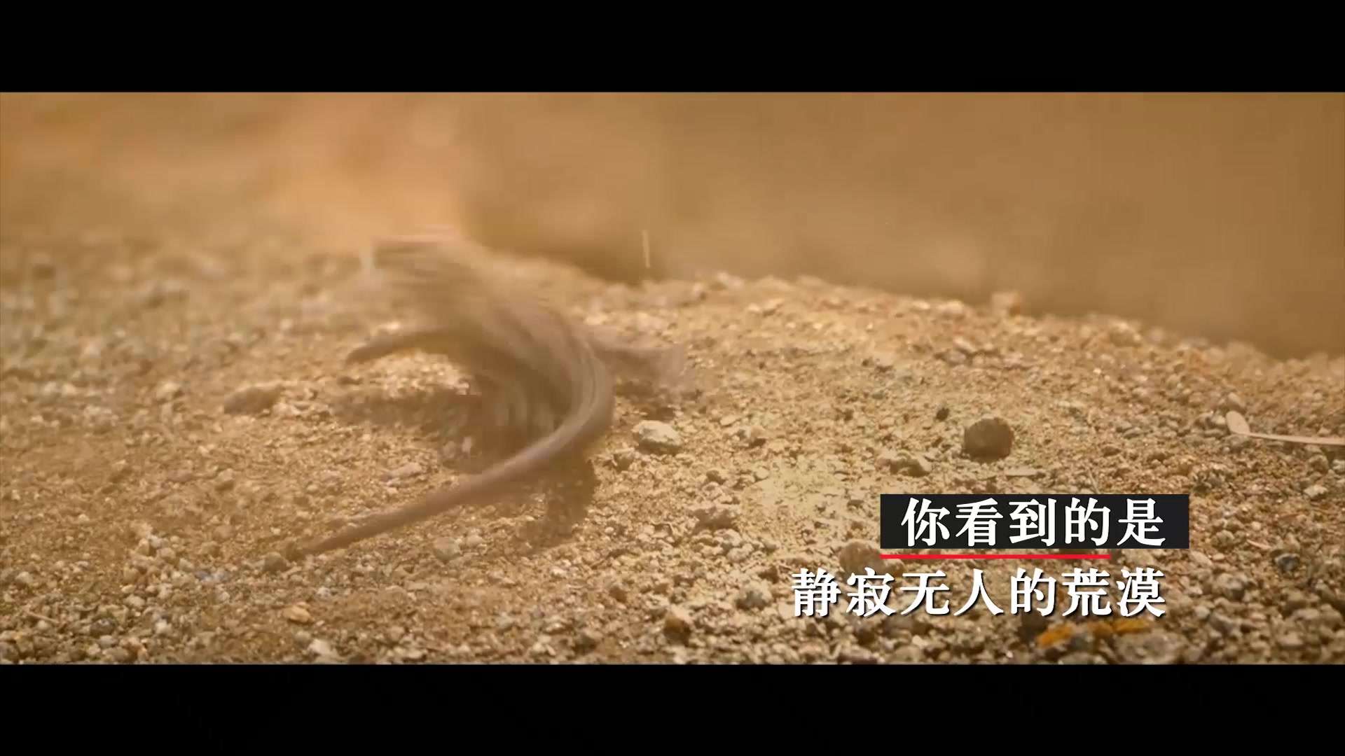 爱卡15周年库布齐沙漠集结活动-商业纪录片
