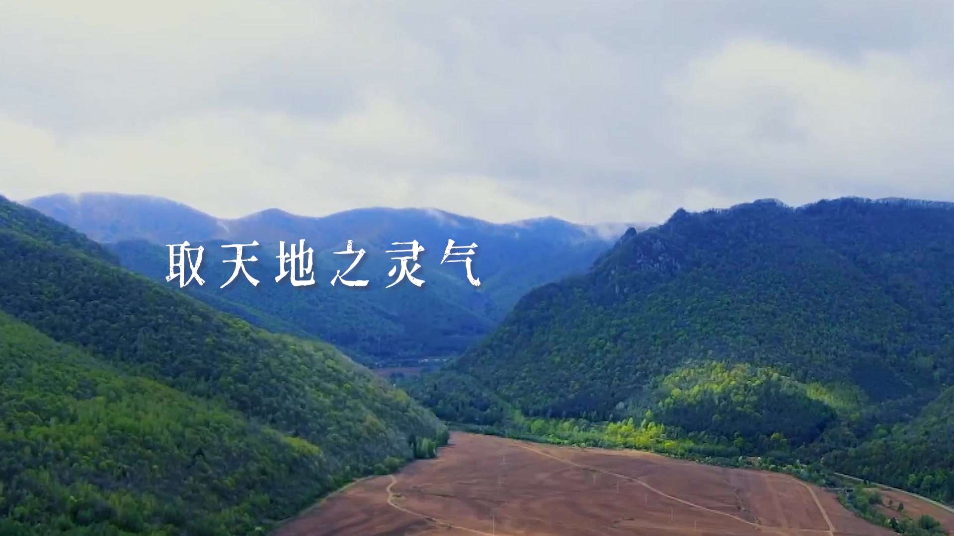 同仁堂健康抖音品牌宣传短片