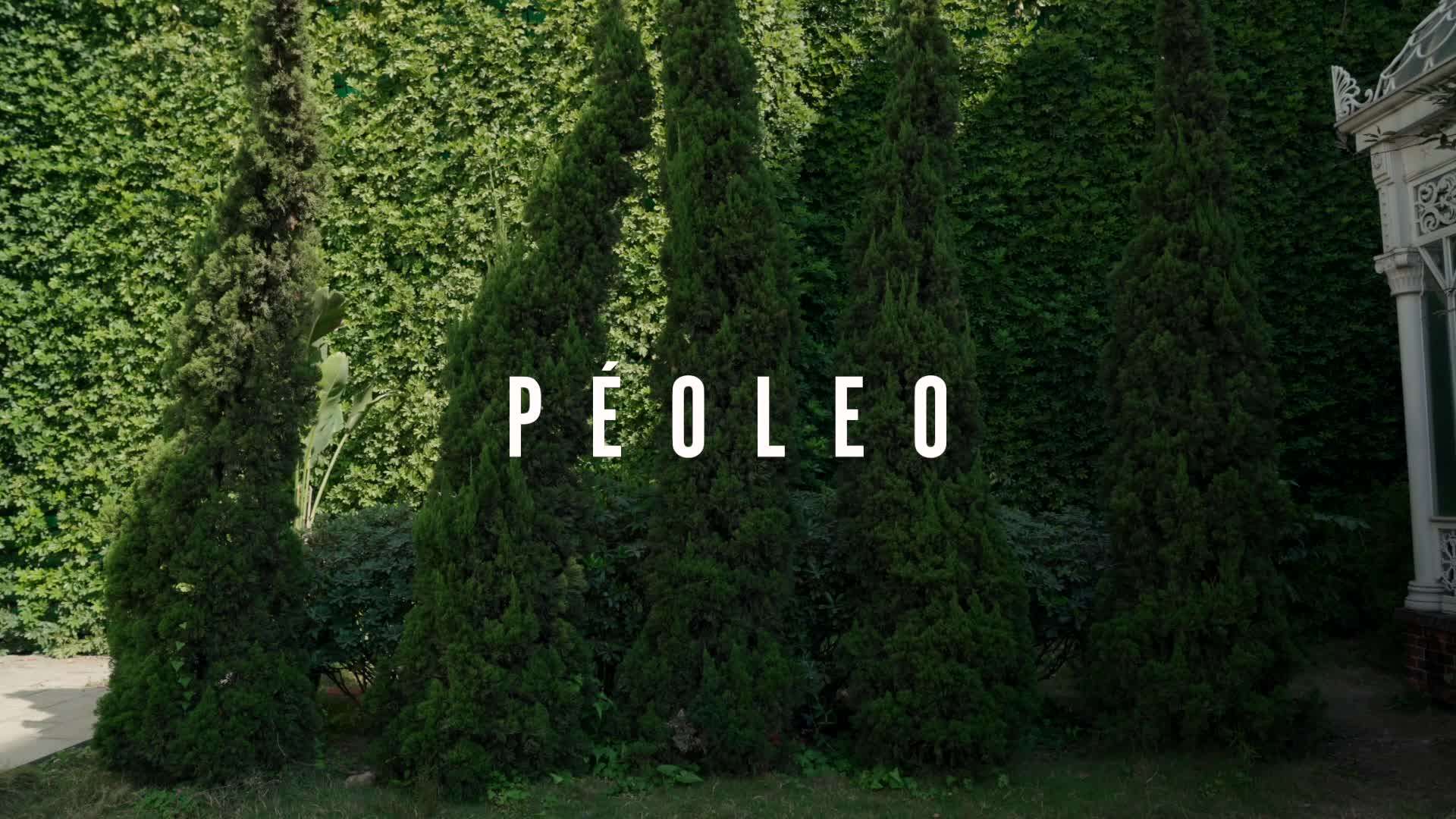 peoleo 女鞋品牌宣传片