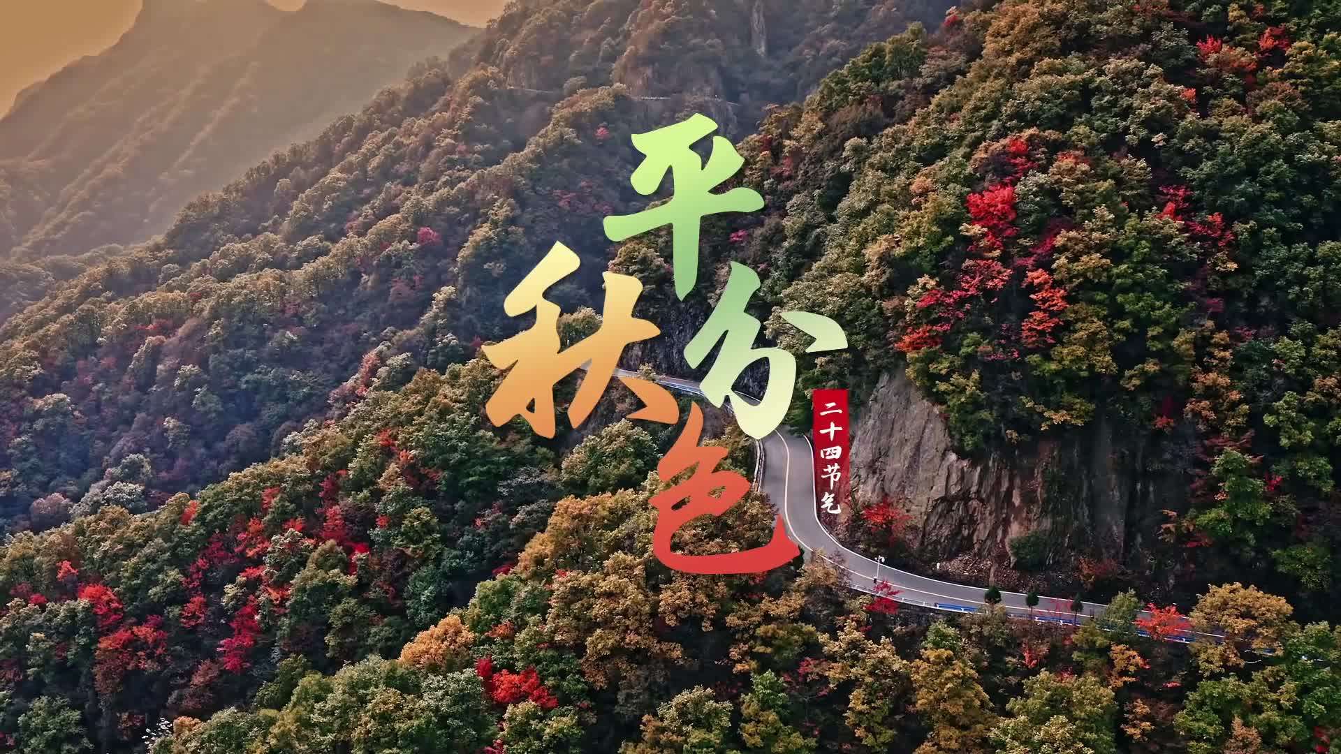 陕西移动·《平分秋色》·秋分节气宣传片
