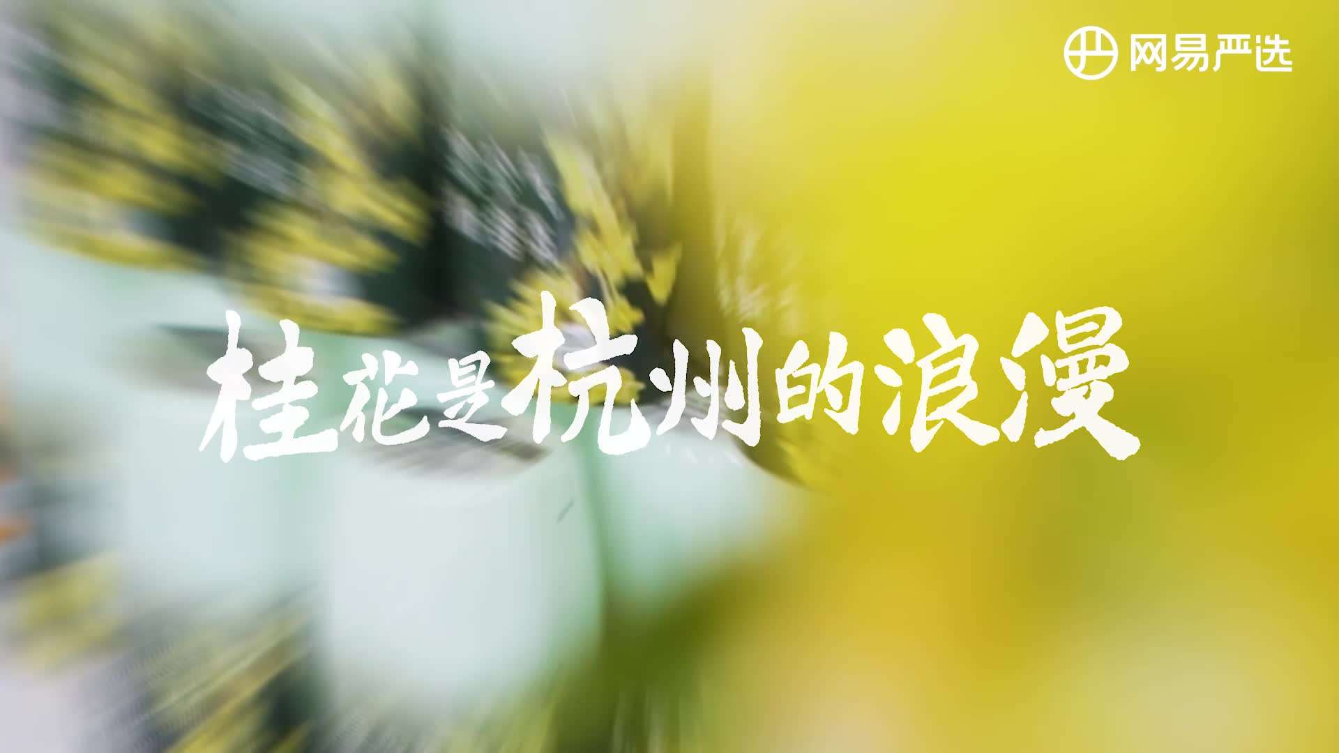 网易严选-桂花是杭州的浪漫地铁艺术展