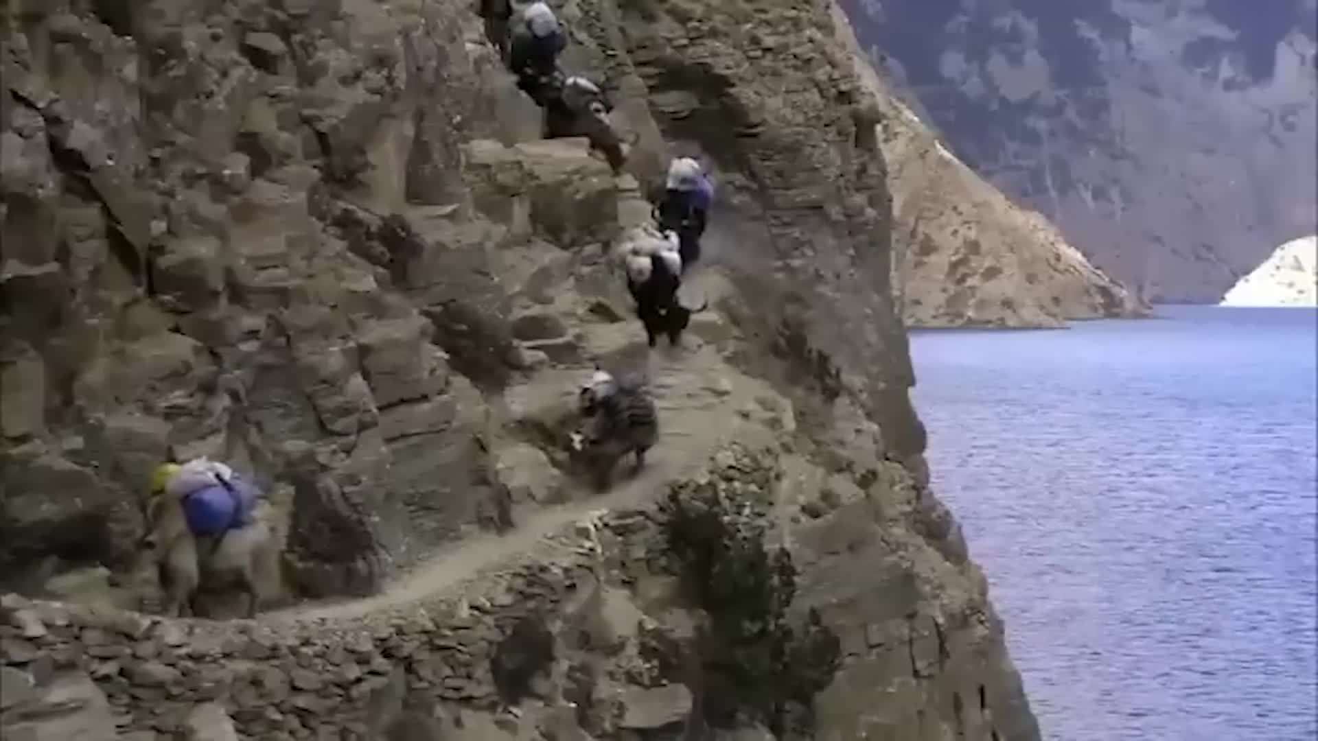 喜馬拉雅山的遊牧民