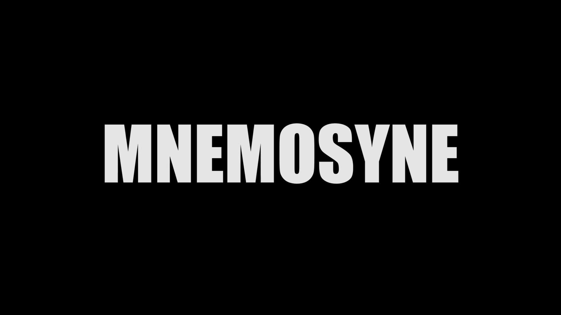 回声Mnemosyne-美研