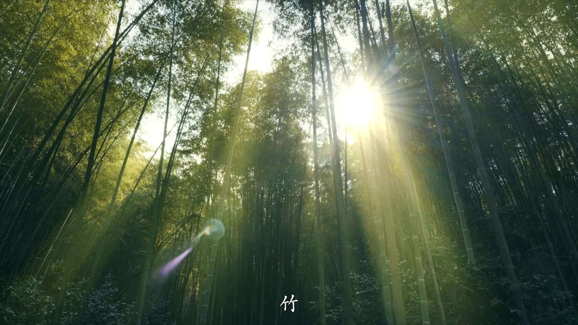 一片竹林的诗意——非物质文化竹编宣传片