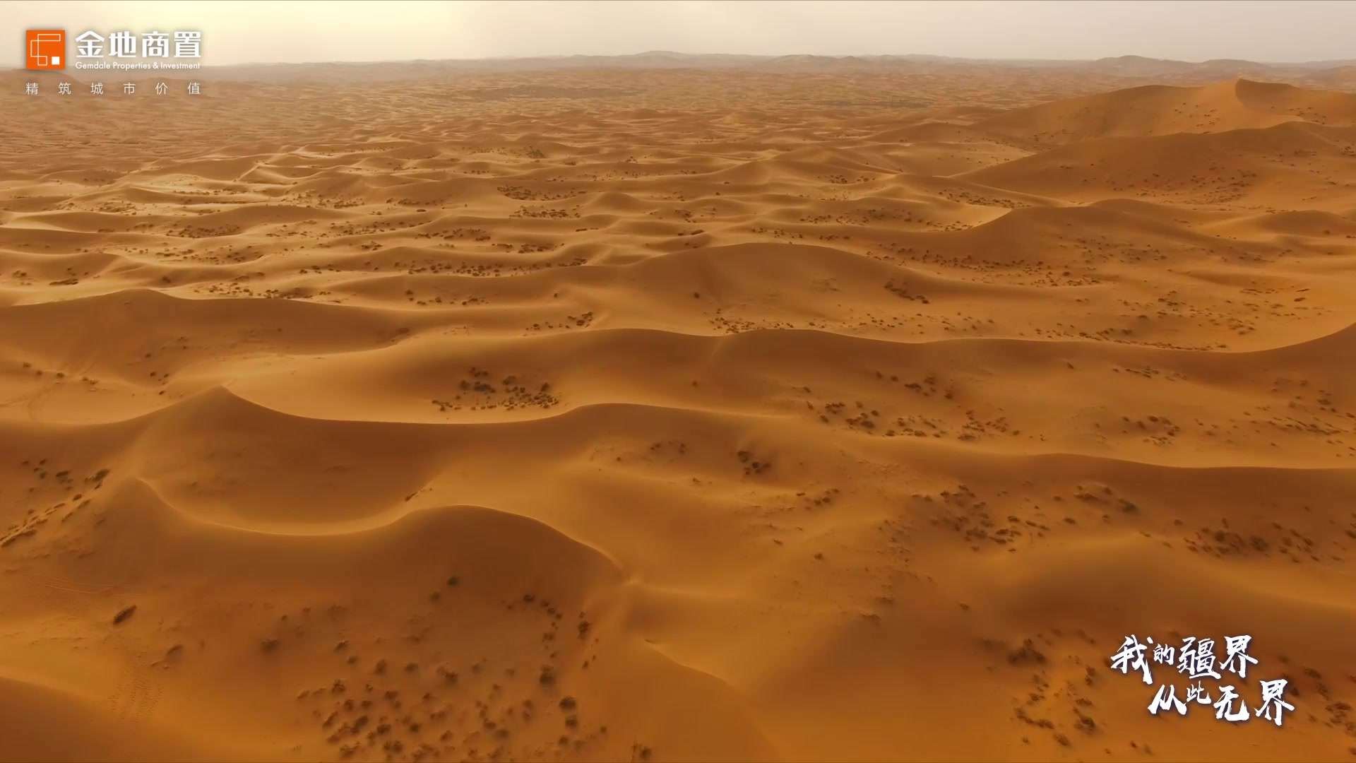 金地商置·2020沙漠挑战赛