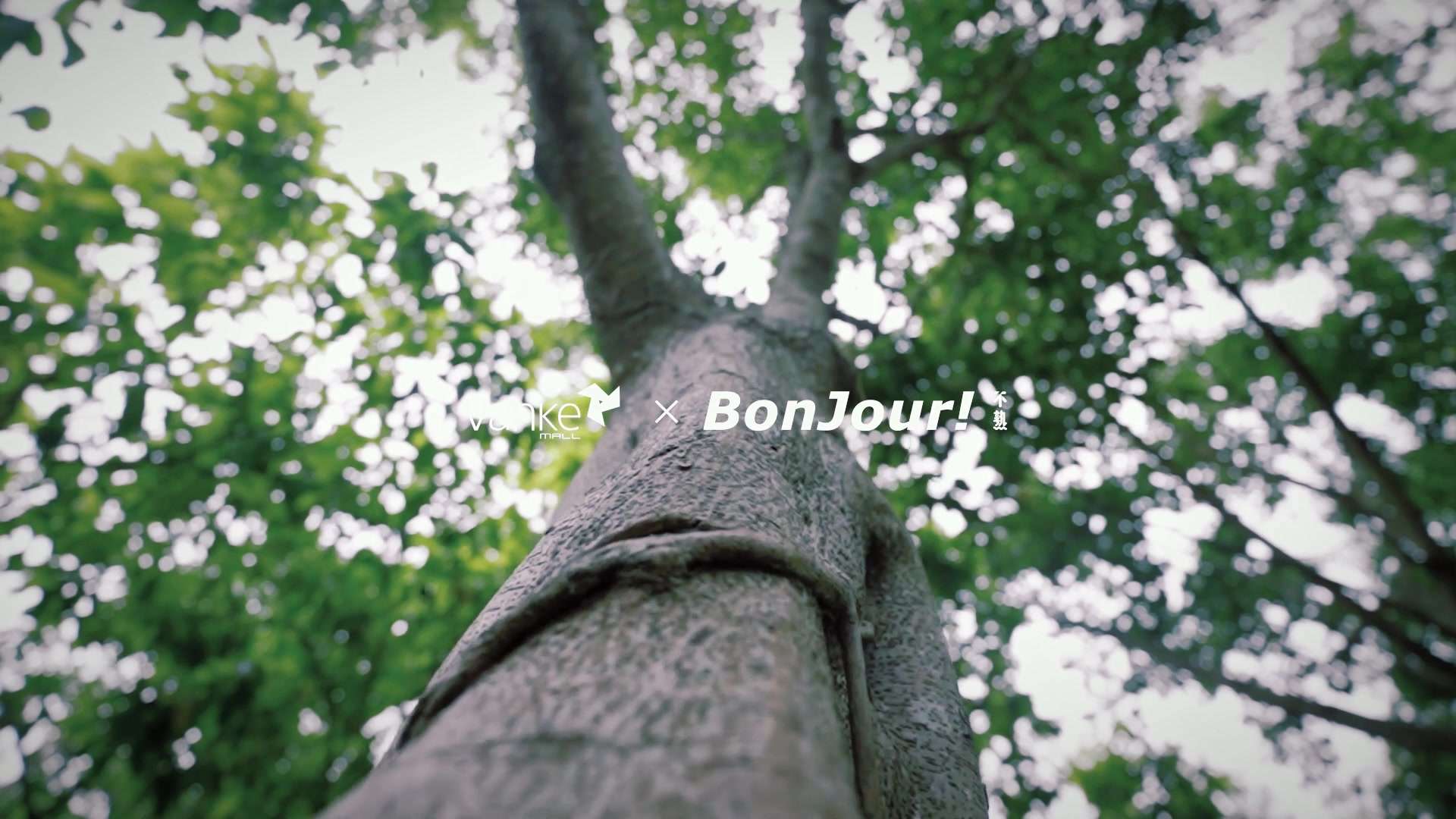 BonJour !不熟x万科广场「春日漫读」艺术书展概念片