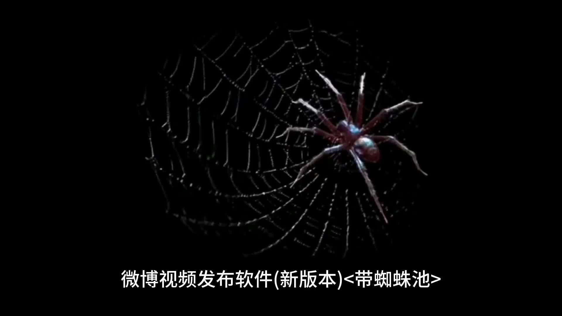 微博视频发布软件(新版本)带蜘蛛池