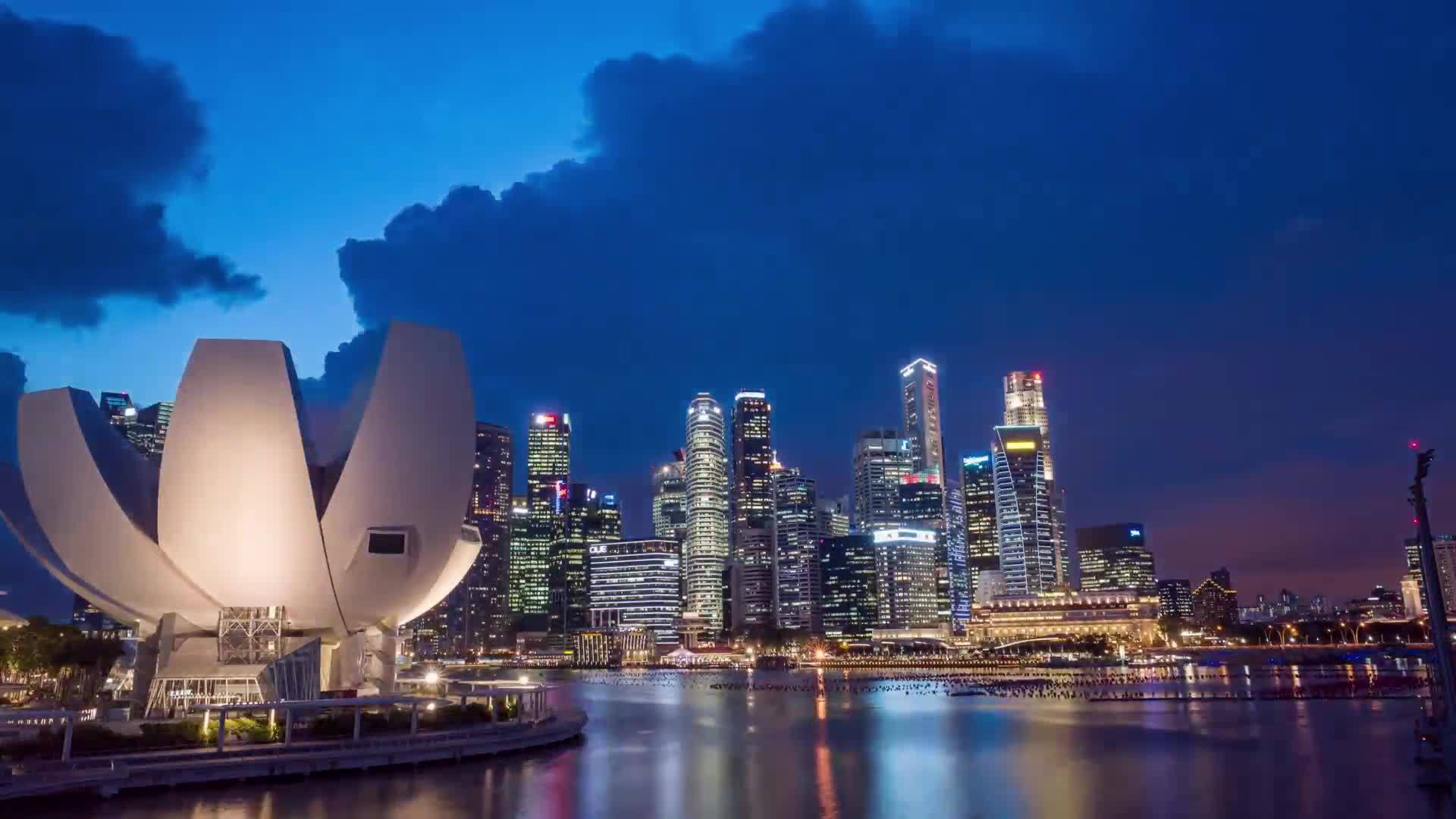 预告片 比亚迪撬动新加坡，11.11诚邀观看