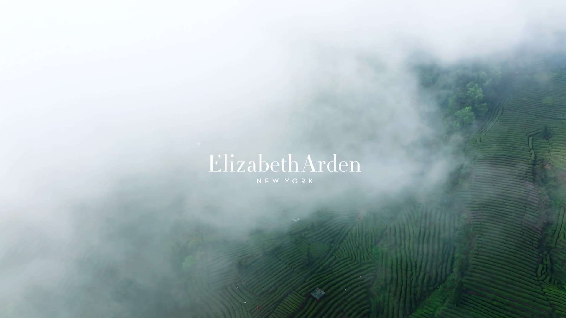 Jstudio&Elizabeth Arden online