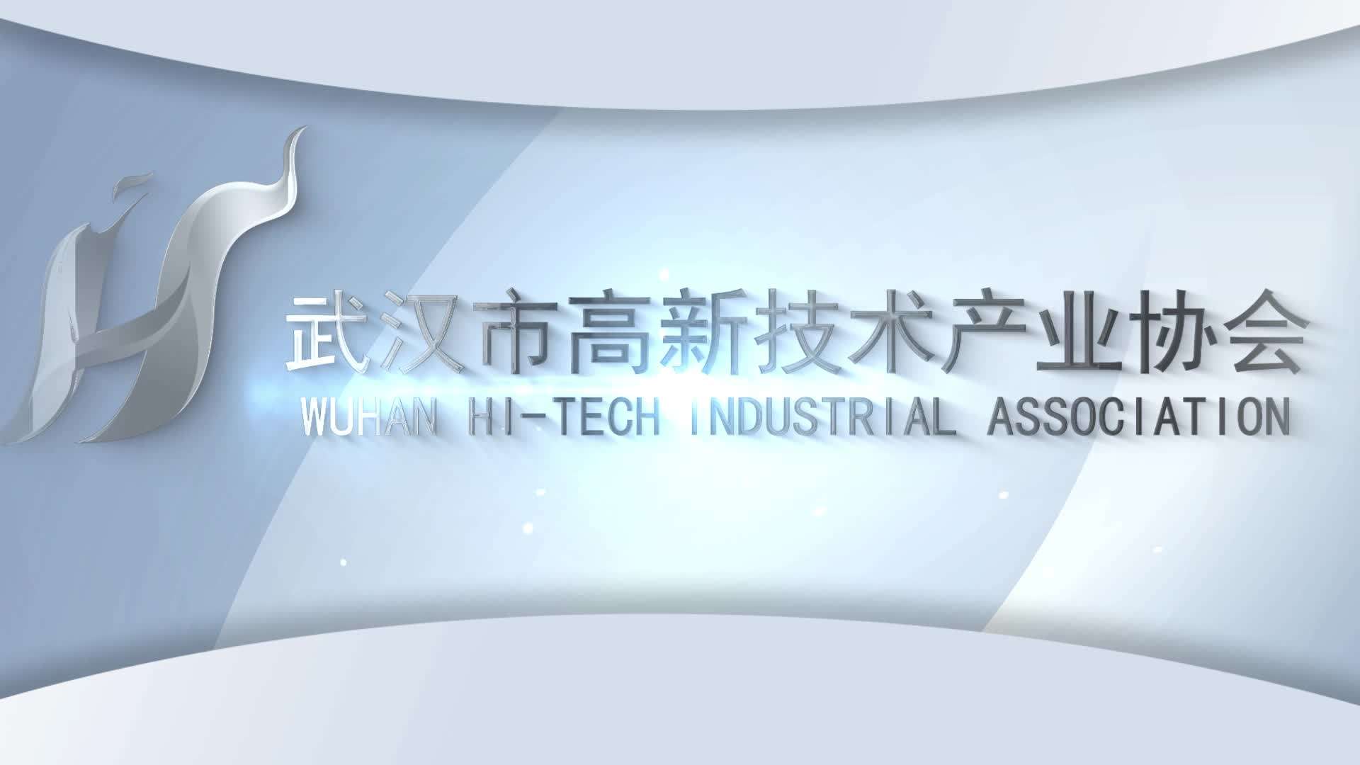 武汉市高新技术企业协会 | 赋能高新产业