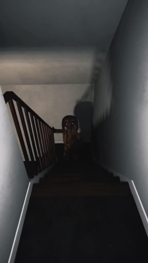 看到楼梯上的小鬼怪了吗？