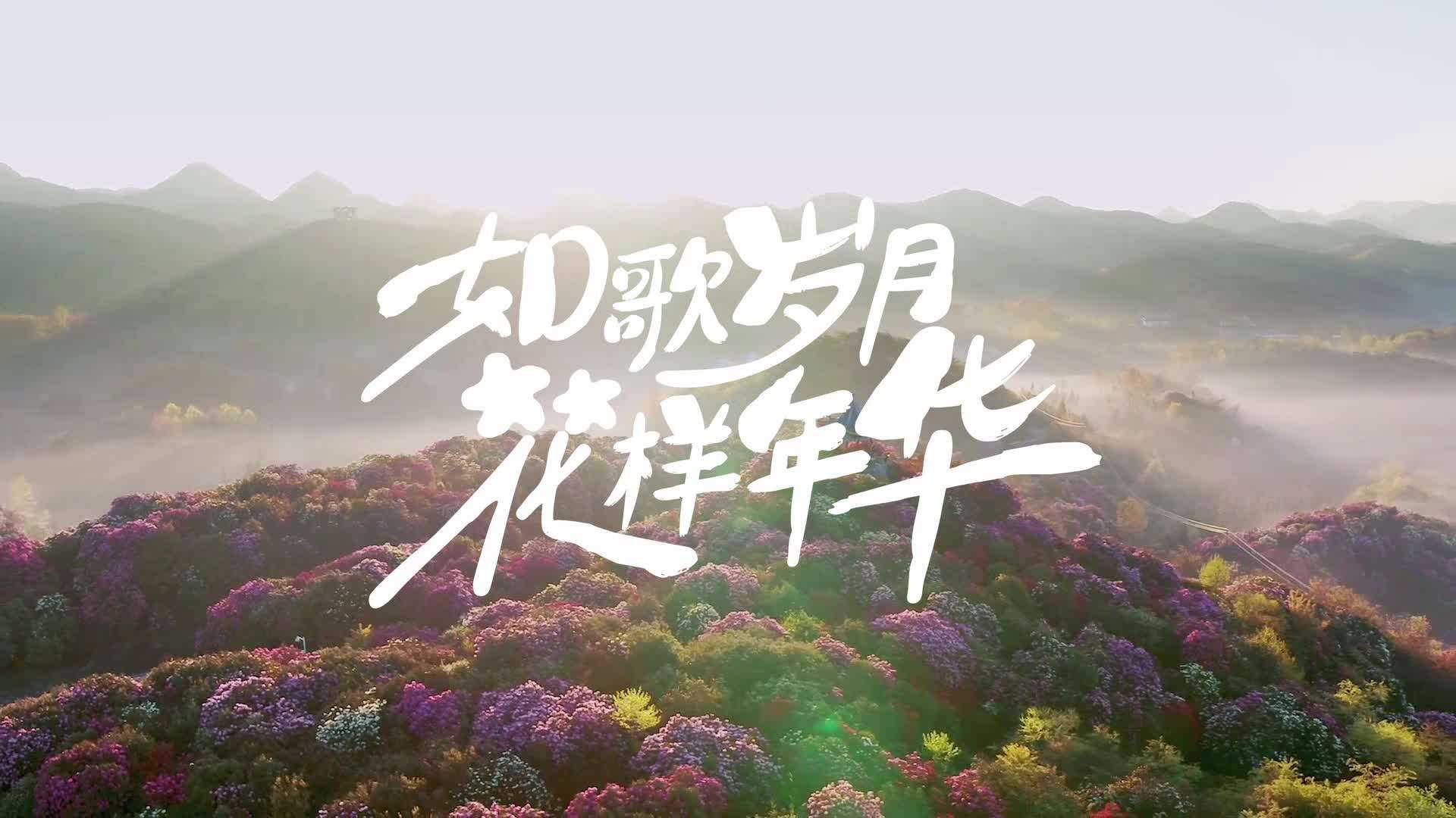 贵州春季文旅宣传花絮《如歌岁月，花样年华》鲜花篇