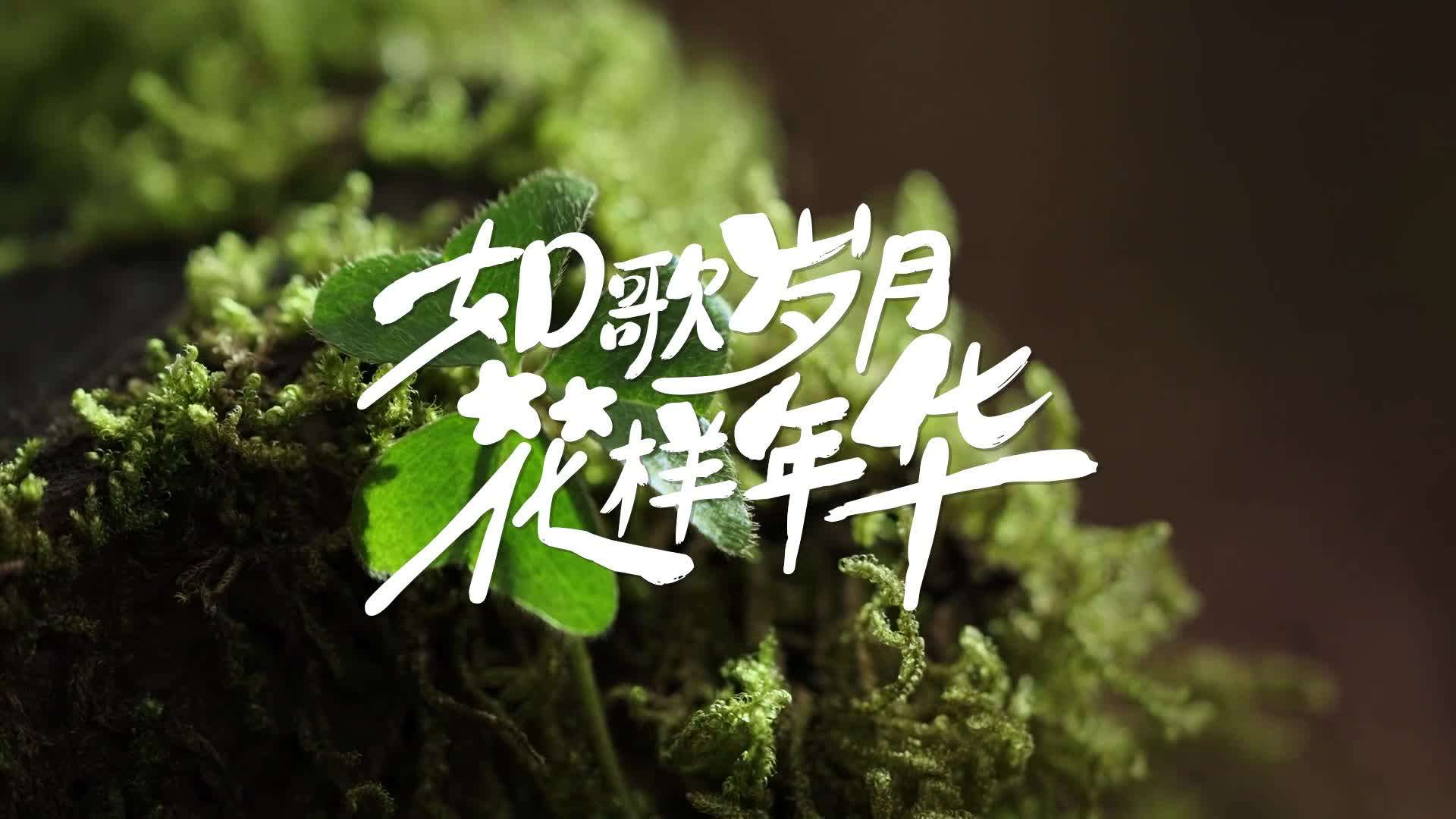 贵州春季文旅宣传花絮《如歌岁月，花样年华》山水篇