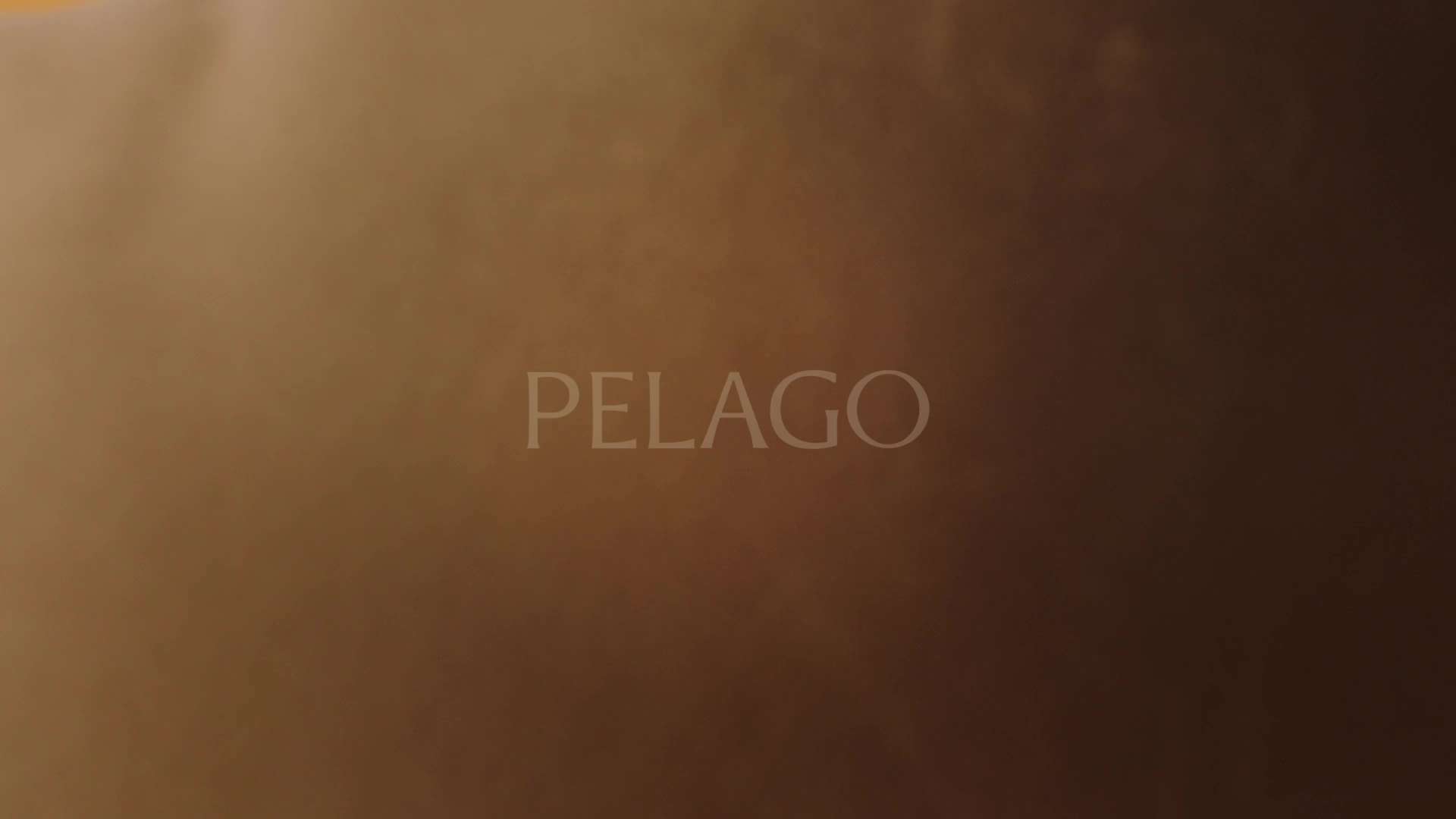 PELAGO佩拉戈水光可可系列粼绒