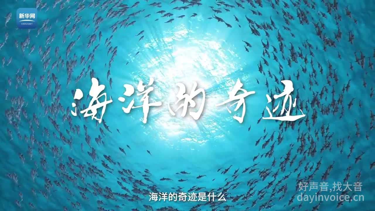 电影《巨齿鲨2 》“海洋的奇迹”主题视频！ 好声音，找大音！