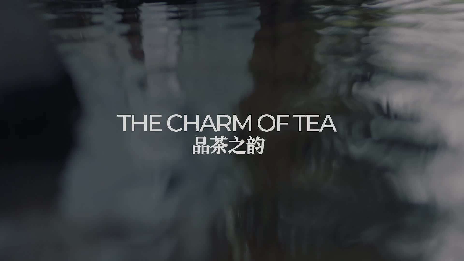 广隆茶业---《紫韵金藏》