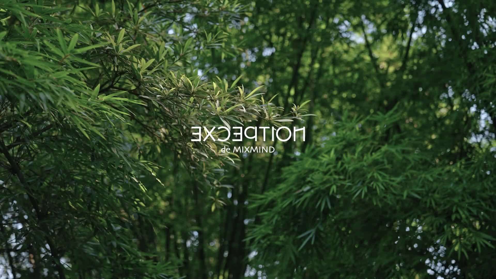 女装-例外EXCEPTION·秋季氛围片