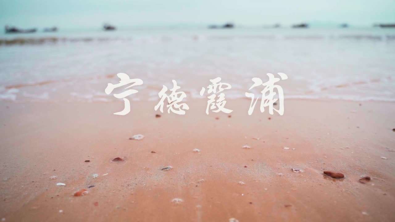 霞浦-海带