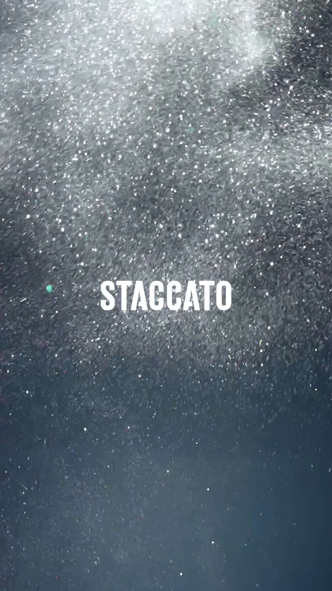 【STACCATO】思加图女鞋产品视频