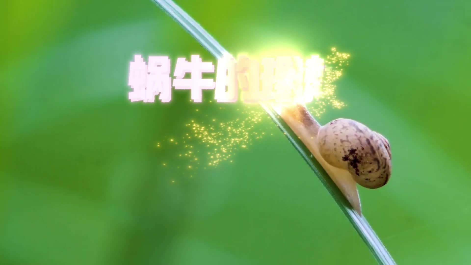 AI歌曲《蜗牛的理想》MV欣赏（作词崔清泉）